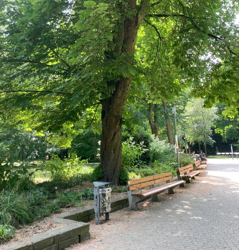 Alter Friedhof